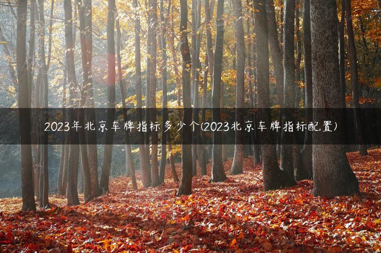 2023年北京车牌指标多少个(2023北京车牌指标配置)