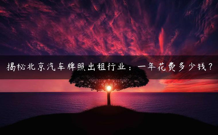 揭秘北京汽车牌照出租行业：一年花费多少钱？