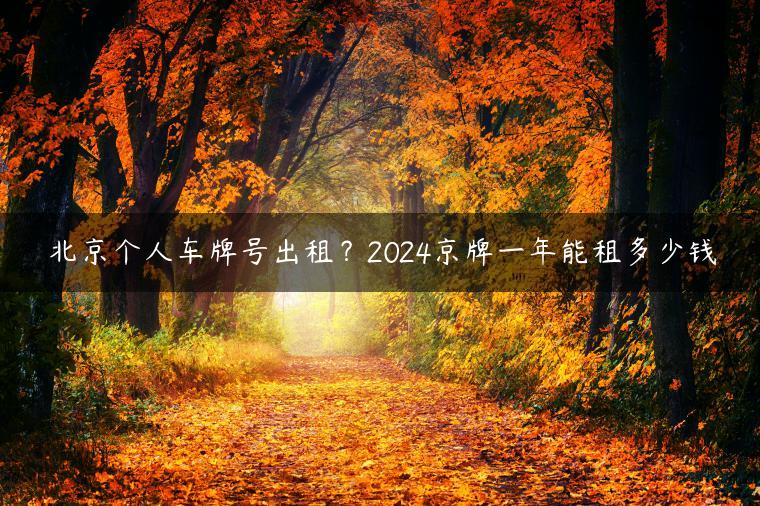 北京个人车牌号出租？2024京牌一年能租多少钱