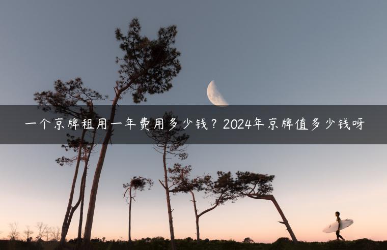 一个京牌租用一年费用多少钱？2024年京牌值多少钱呀