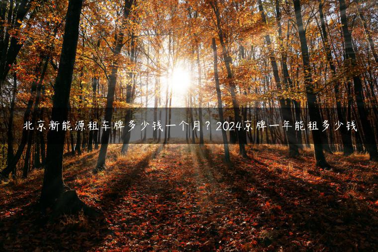 北京新能源租车牌多少钱一个月？2024京牌一年能租多少钱