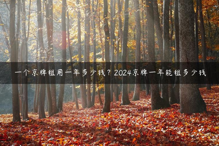 一个京牌租用一年多少钱？2024京牌一年能租多少钱