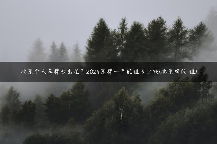 北京个人车牌号出租？2024京牌一年能租多少钱(北京牌照 租)