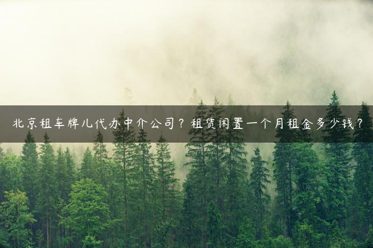 北京租车牌儿代办中介公司？租赁闲置一个月租金多少钱？