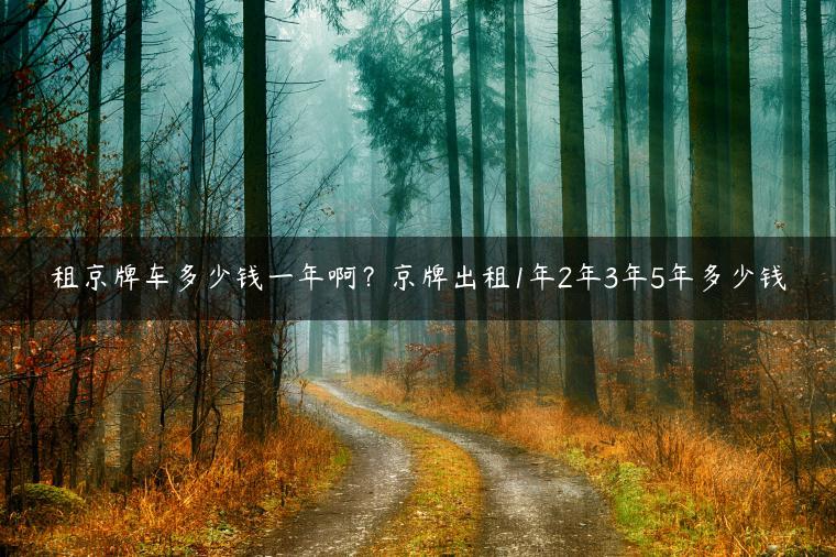 租京牌车多少钱一年啊？京牌出租1年2年3年5年多少钱