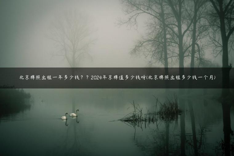 北京牌照出租一年多少钱？？2024年京牌值多少钱呀(北京牌照出租多少钱一个月)