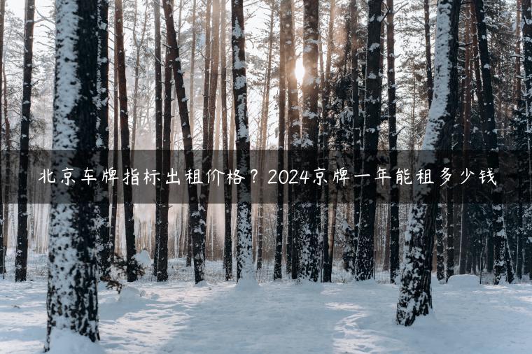 北京车牌指标出租价格？2024京牌一年能租多少钱