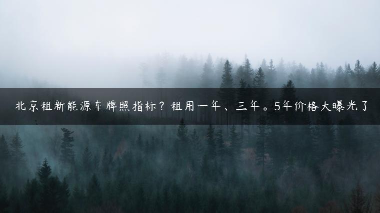 北京租新能源车牌照指标？租用一年、三年。5年价格大曝光了
