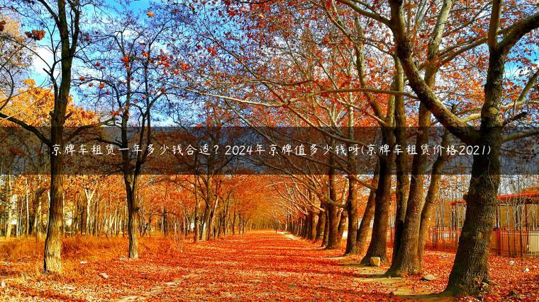 京牌车租赁一年多少钱合适？2024年京牌值多少钱呀(京牌车租赁价格2021)