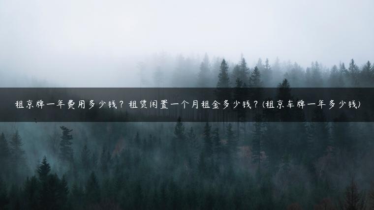 租京牌一年费用多少钱？租赁闲置一个月租金多少钱？(租京车牌一年多少钱)