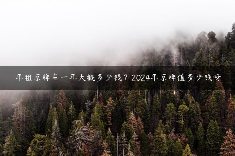 年租京牌车一年大概多少钱？2024年京牌值多少钱呀