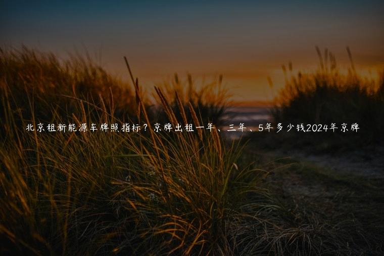 北京租新能源车牌照指标？京牌出租一年、三年、5年多少钱2024年京牌