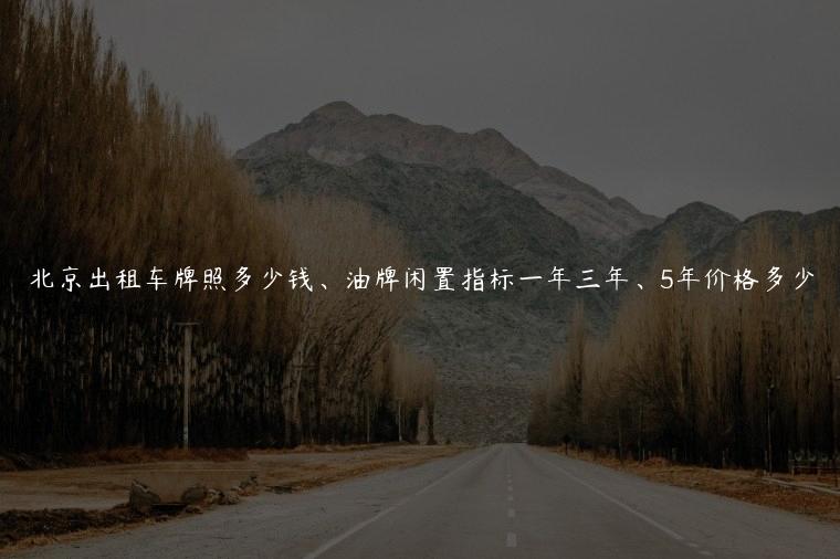 北京出租车牌照多少钱、油牌闲置指标一年三年、5年价格多少