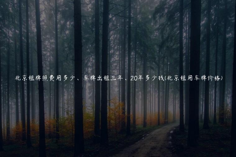 北京租牌照费用多少、车牌出租三年、20年多少钱(北京租用车牌价格)