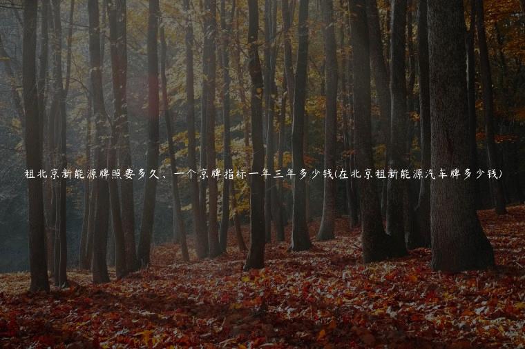 租北京新能源牌照要多久、一个京牌指标一年三年多少钱(在北京租新能源汽车牌多少钱)