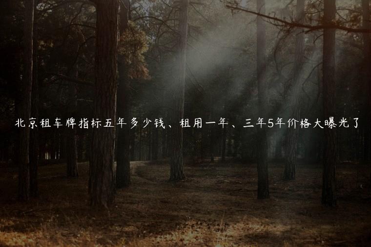 北京租车牌指标五年多少钱、租用一年、三年5年价格大曝光了