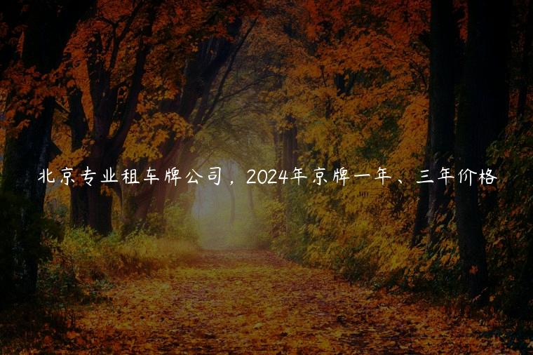 北京专业租车牌公司，2024年京牌一年、三年价格