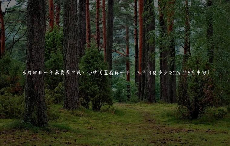 京牌短租一年需要多少钱？油牌闲置指标一年、三年价格多少(2024 年5月中旬）