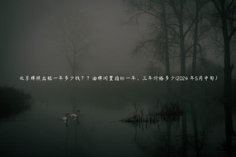 北京牌照出租一年多少钱？？油牌闲置指标一年、三年价格多少(2024 年5月中旬）