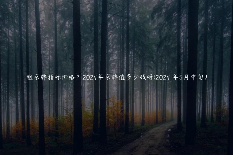 租京牌指标价格？2024年京牌值多少钱呀(2024 年5月中旬）