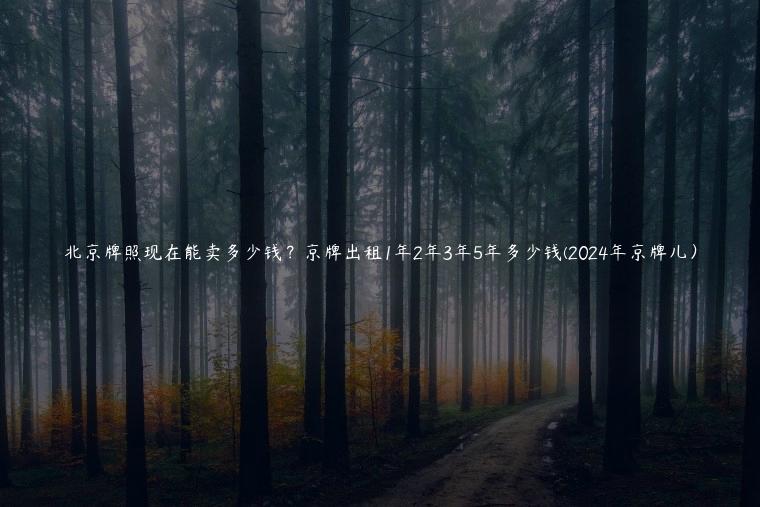 北京牌照现在能卖多少钱？京牌出租1年2年3年5年多少钱(2024年京牌儿）