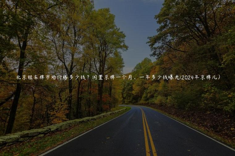 北京租车牌市场价格多少钱？闲置京牌一个月、一年多少钱曝光(2024年京牌儿）