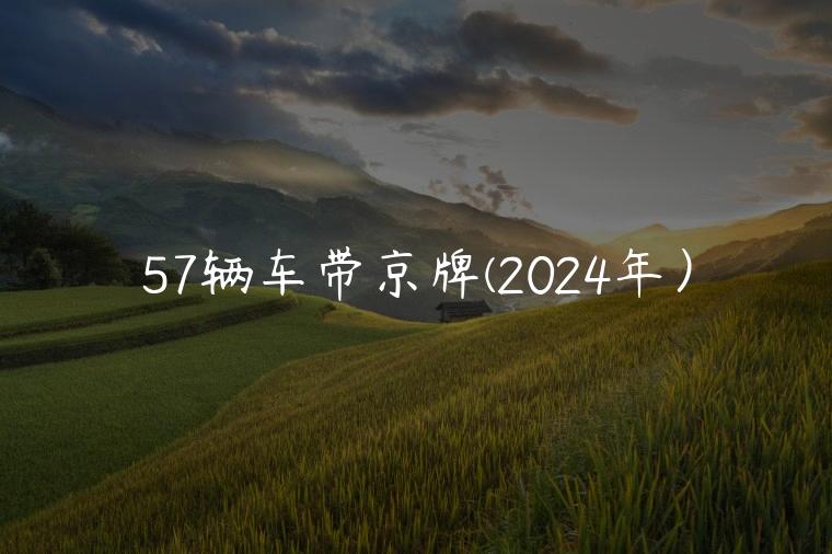 57辆车带京牌(2024年）