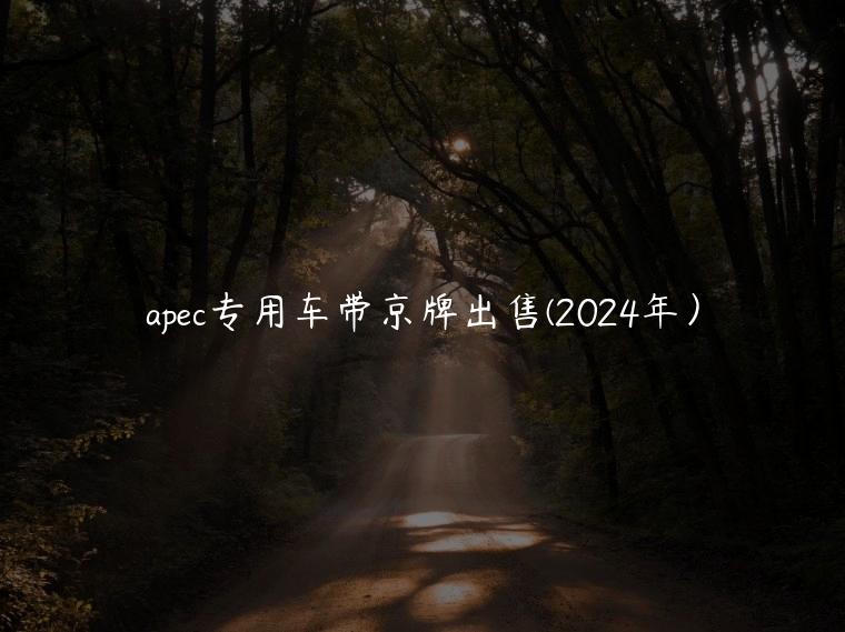 apec专用车带京牌出售(2024年）