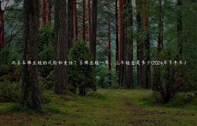 北京车牌出租的风险和责任？京牌出租一年、三年租金是多少(2024年下半年）