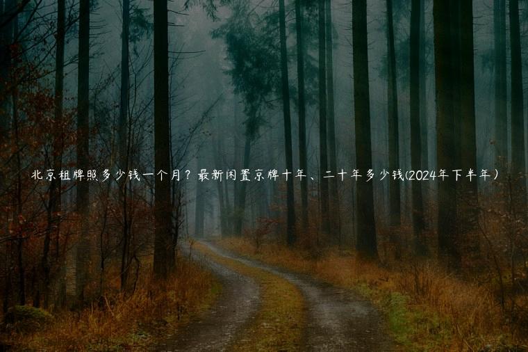 北京租牌照多少钱一个月？最新闲置京牌十年、二十年多少钱(2024年下半年）