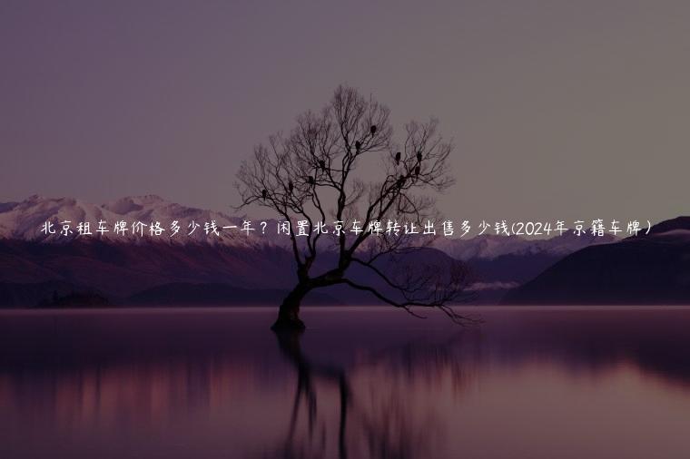 北京租车牌价格多少钱一年？闲置北京车牌转让出售多少钱(2024年京籍车牌）