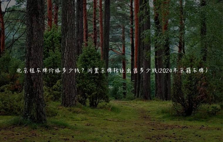 北京租车牌价格多少钱？闲置京牌转让出售多少钱(2024年京籍车牌）