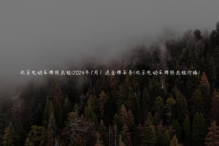 北京电动车牌照出租(2024年7月）选金牌车务(北京电动车牌照出租价格)