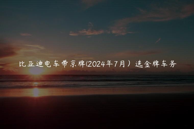 比亚迪电车带京牌(2024年7月）选金牌车务