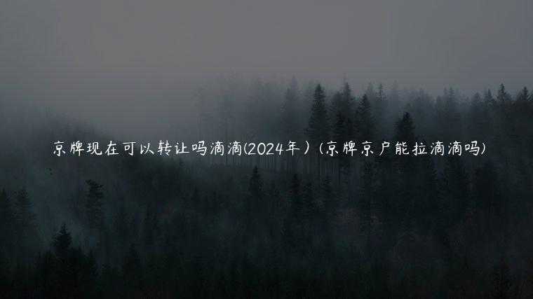 京牌现在可以转让吗滴滴(2024年）(京牌京户能拉滴滴吗)