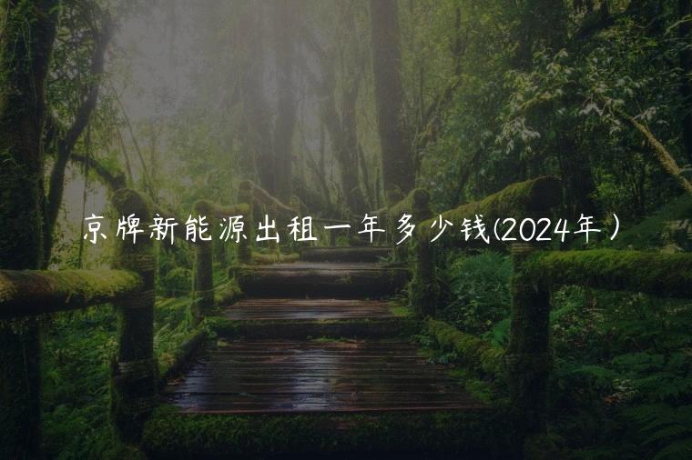 京牌新能源出租一年多少钱(2024年）