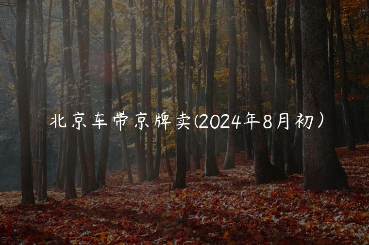 北京车带京牌卖(2024年8月初）