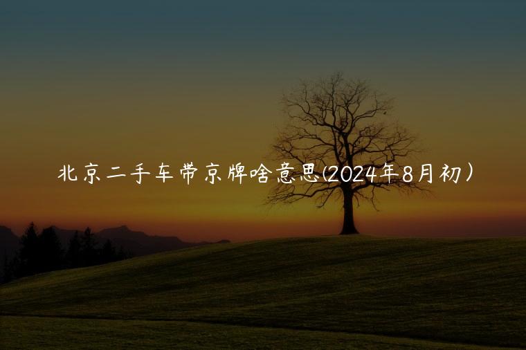 北京二手车带京牌啥意思(2024年8月初）