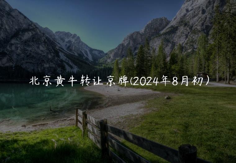 北京黄牛转让京牌(2024年8月初）