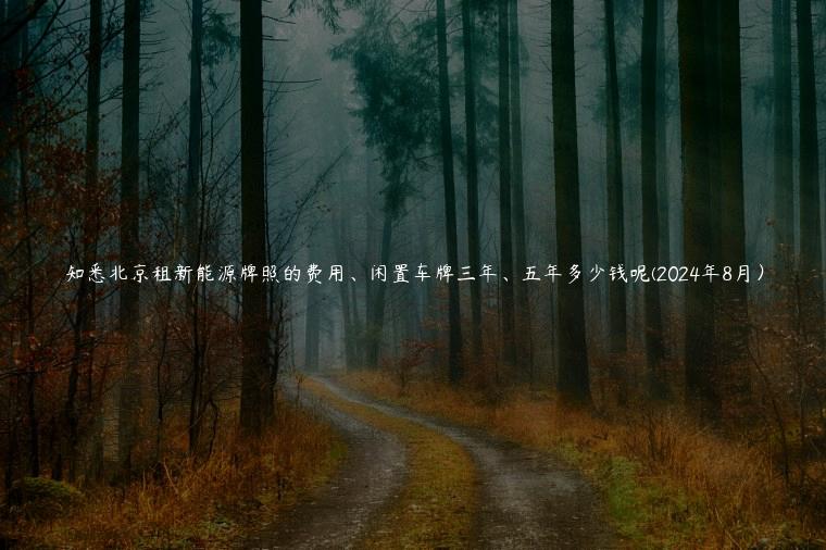 知悉北京租新能源牌照的费用、闲置车牌三年、五年多少钱呢(2024年8月）