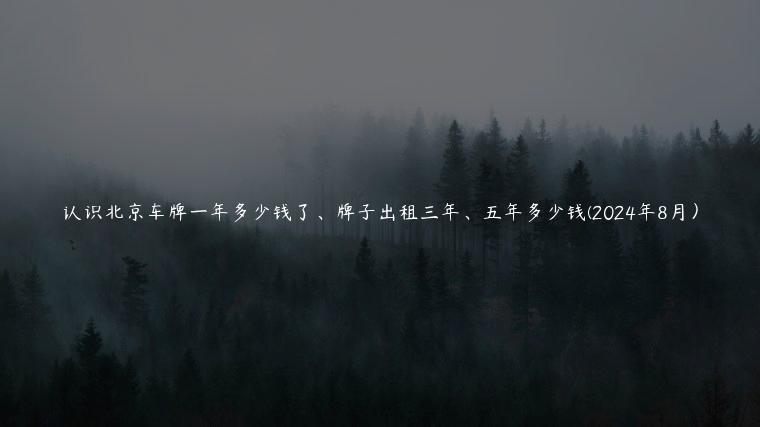 认识北京车牌一年多少钱了、牌子出租三年、五年多少钱(2024年8月）