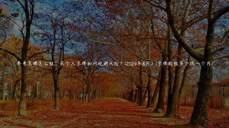 参考京牌怎么租、买个人京牌如何规避风险？(2024年8月）(京牌能租多少钱一个月)