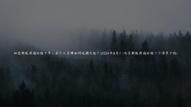 知悉新能源指标租十年、买个人京牌如何规避风险？(2024年8月）(北京新能源指标租一个得多少钱)