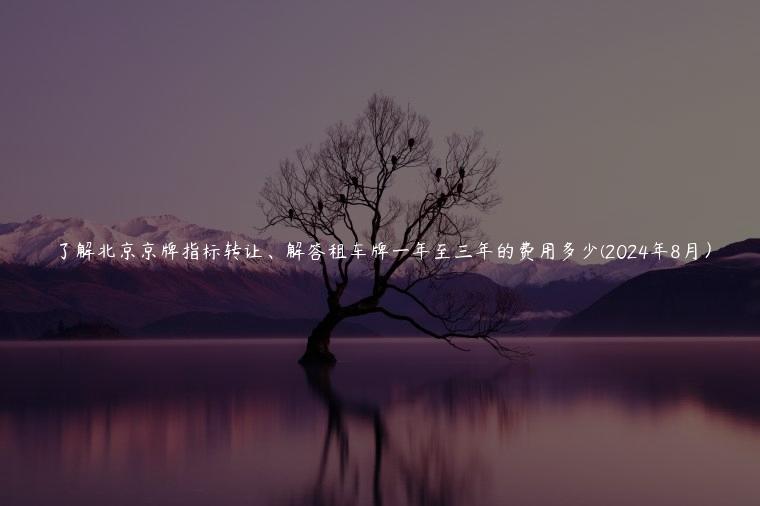 了解北京京牌指标转让、解答租车牌一年至三年的费用多少(2024年8月）