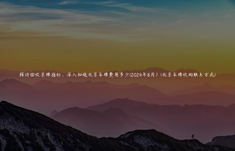 探访回收京牌指标、深入知晓北京车牌费用多少(2024年8月）(北京车牌收购联系方式)