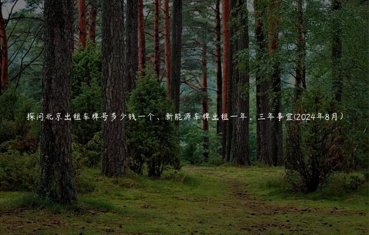 探问北京出租车牌号多少钱一个、新能源车牌出租一年、三年事宜(2024年8月）