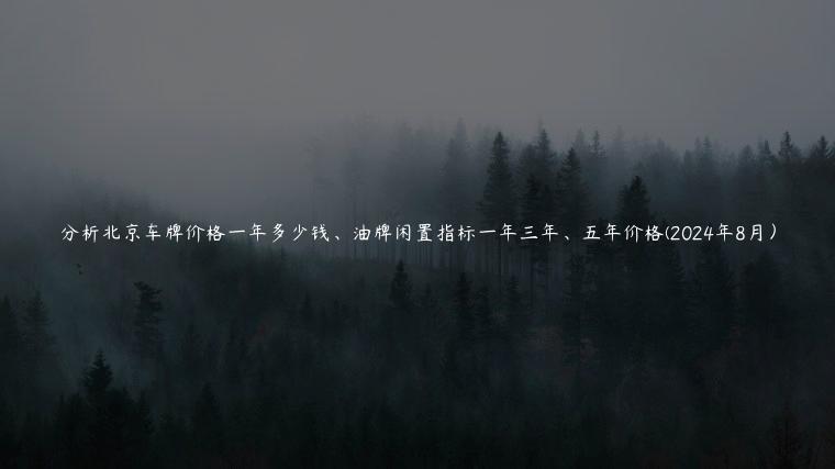 分析北京车牌价格一年多少钱、油牌闲置指标一年三年、五年价格(2024年8月）