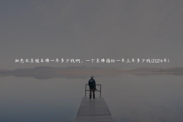 知悉北京租车牌一年多少钱啊、一个京牌指标一年三年多少钱(2024年)