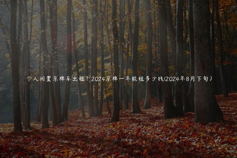 个人闲置京牌车出租？2024京牌一年能租多少钱(2024年8月下旬）