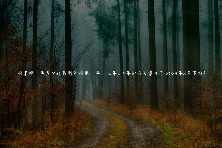 租京牌一年多少钱最新？租用一年、三年。5年价格大曝光了(2024年8月下旬）